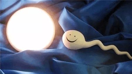 体外受精 IVF-ET
